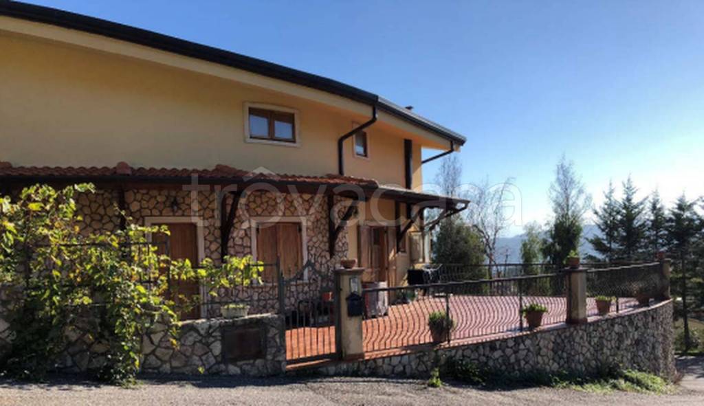 immagine annuncio 3 di 14
