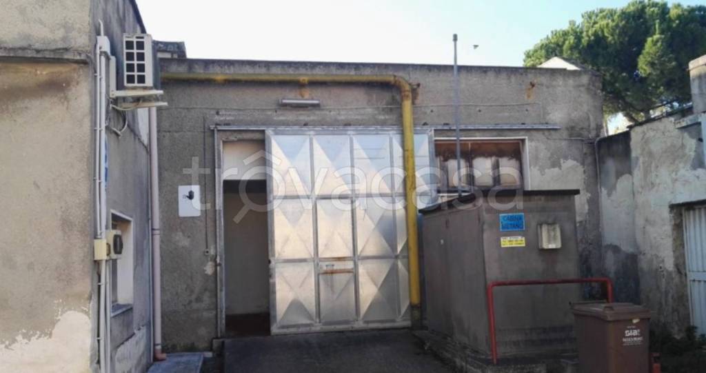 immagine annuncio 10 di 13