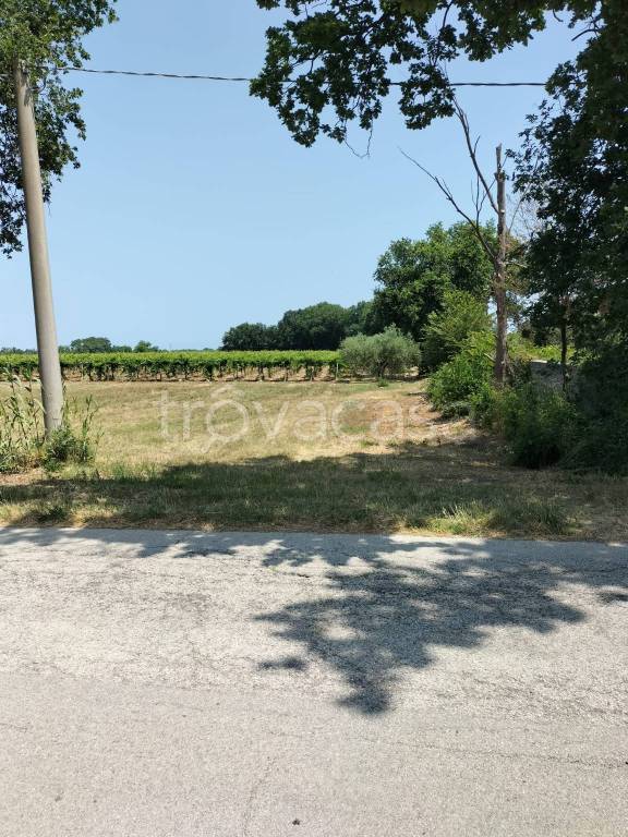 immagine annuncio 4 di 8