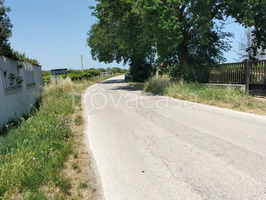immagine annuncio 7 di 8
