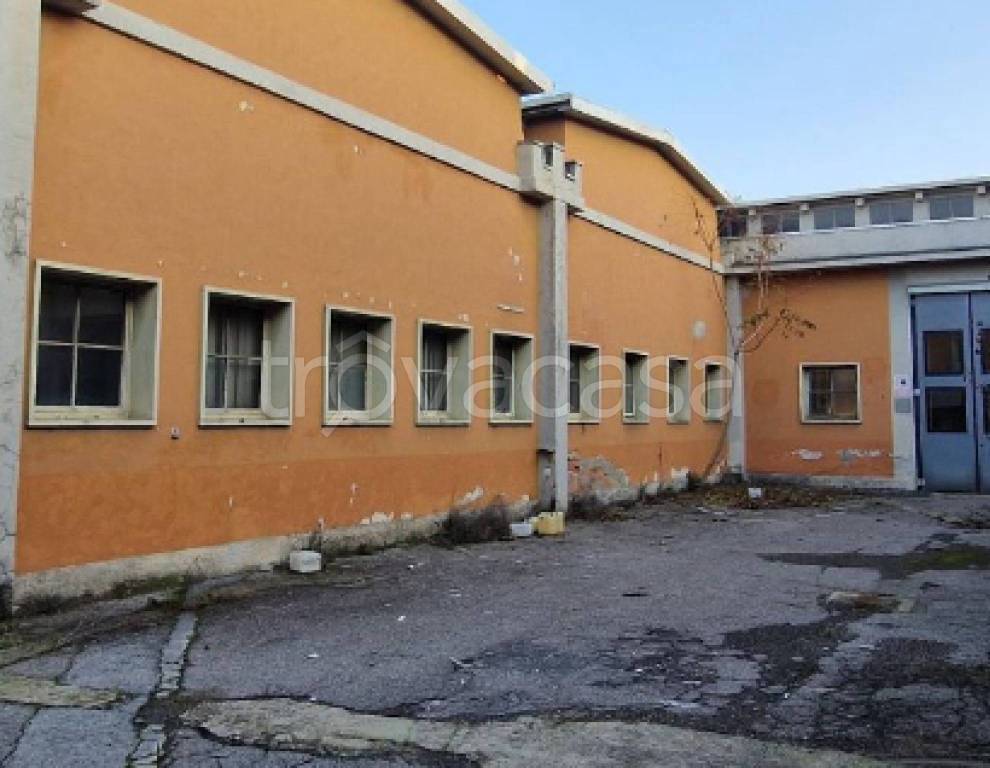 immagine annuncio 4 di 11