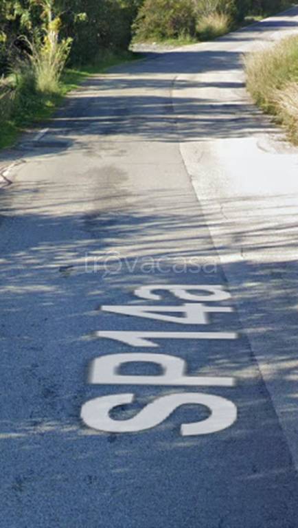 immagine annuncio 9 di 13