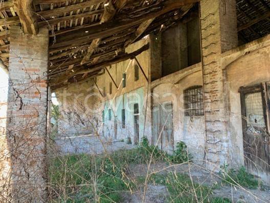 immagine annuncio 5 di 8