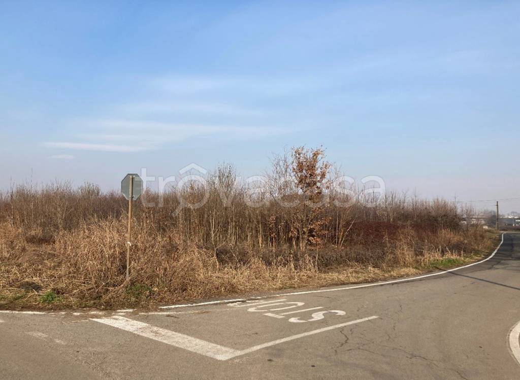 immagine annuncio 4 di 6
