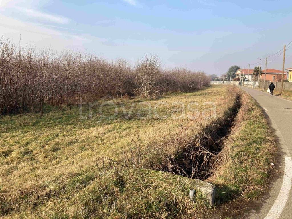 immagine annuncio 5 di 6