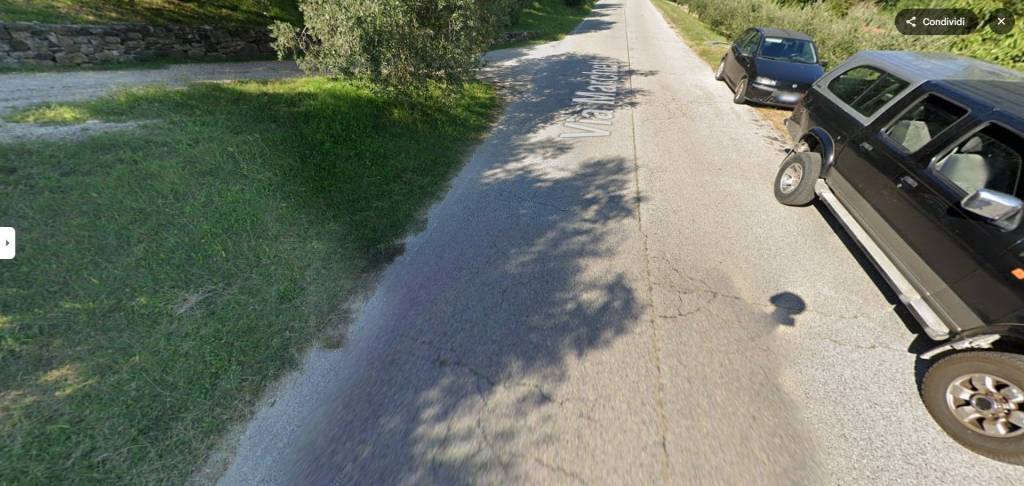 immagine annuncio 2 di 11