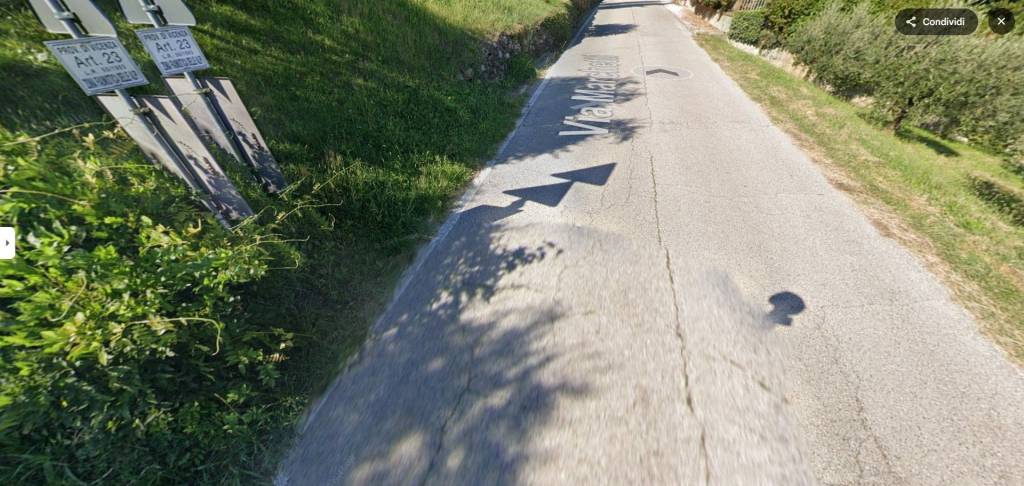 immagine annuncio 3 di 11