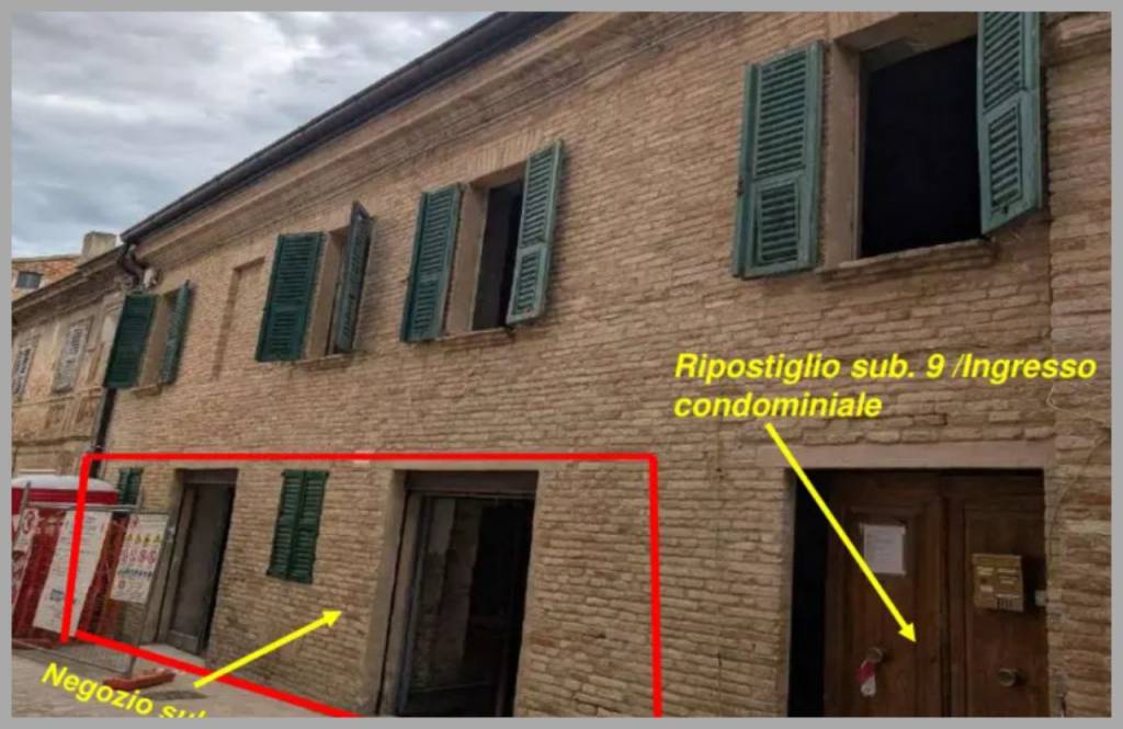 immagine annuncio 11 di 15
