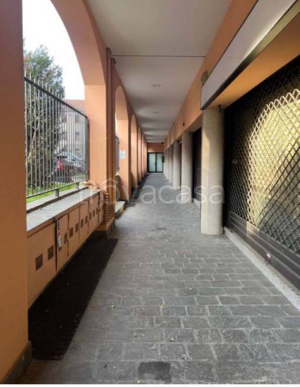 immagine annuncio 7 di 12