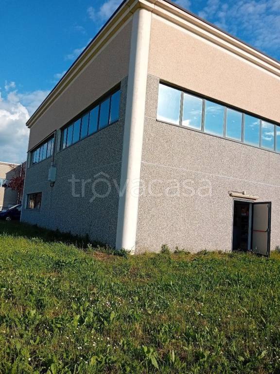 immagine annuncio 1 di 9