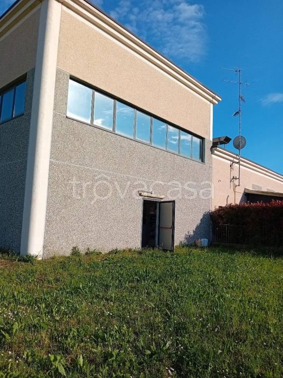 immagine annuncio 7 di 9
