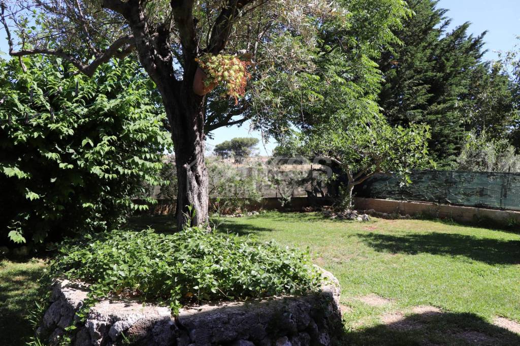 immagine annuncio 9 di 14