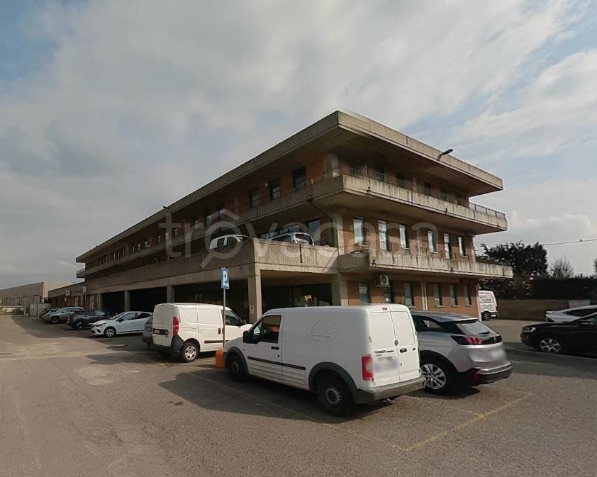 immagine annuncio 7 di 11