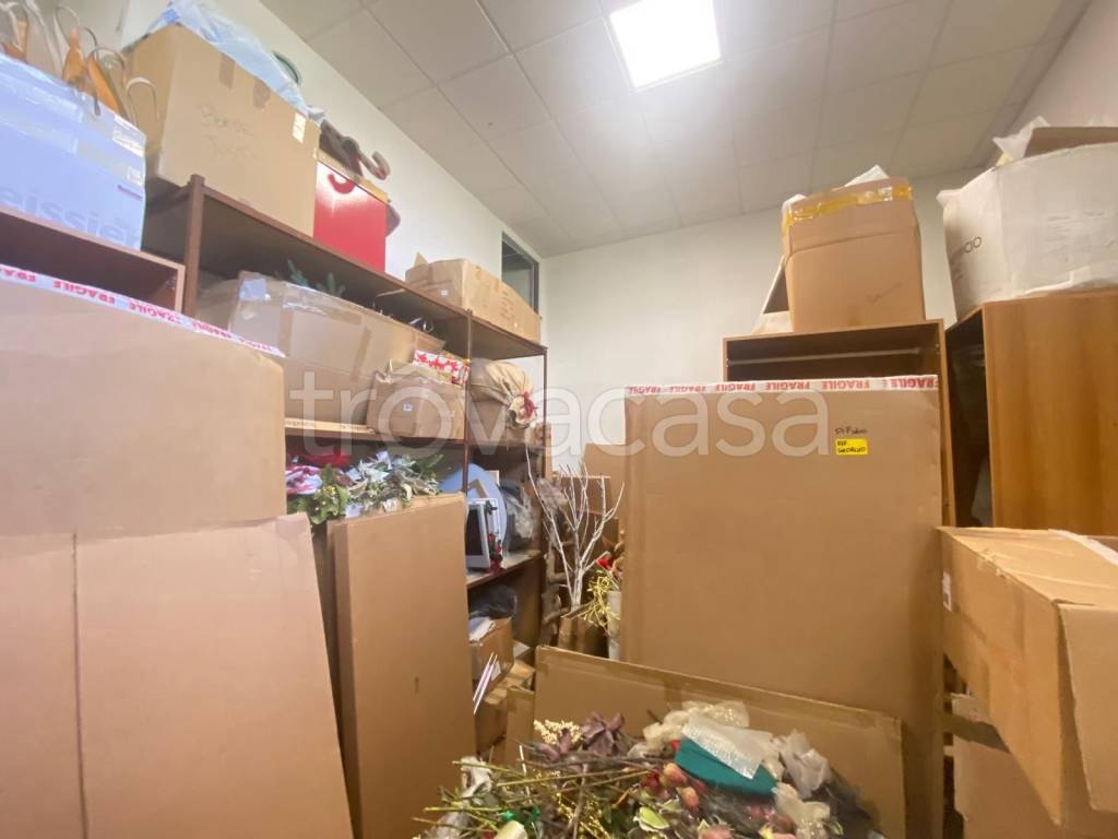 immagine annuncio 9 di 14