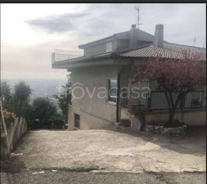 immagine annuncio 6 di 11
