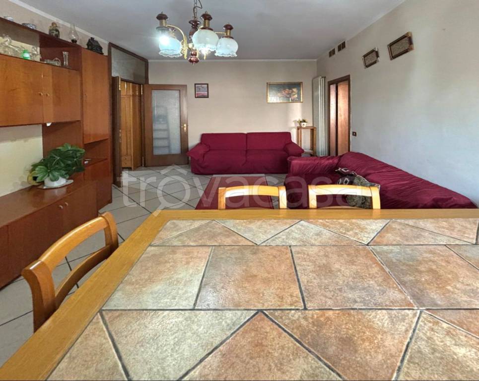 immagine annuncio 2 di 14