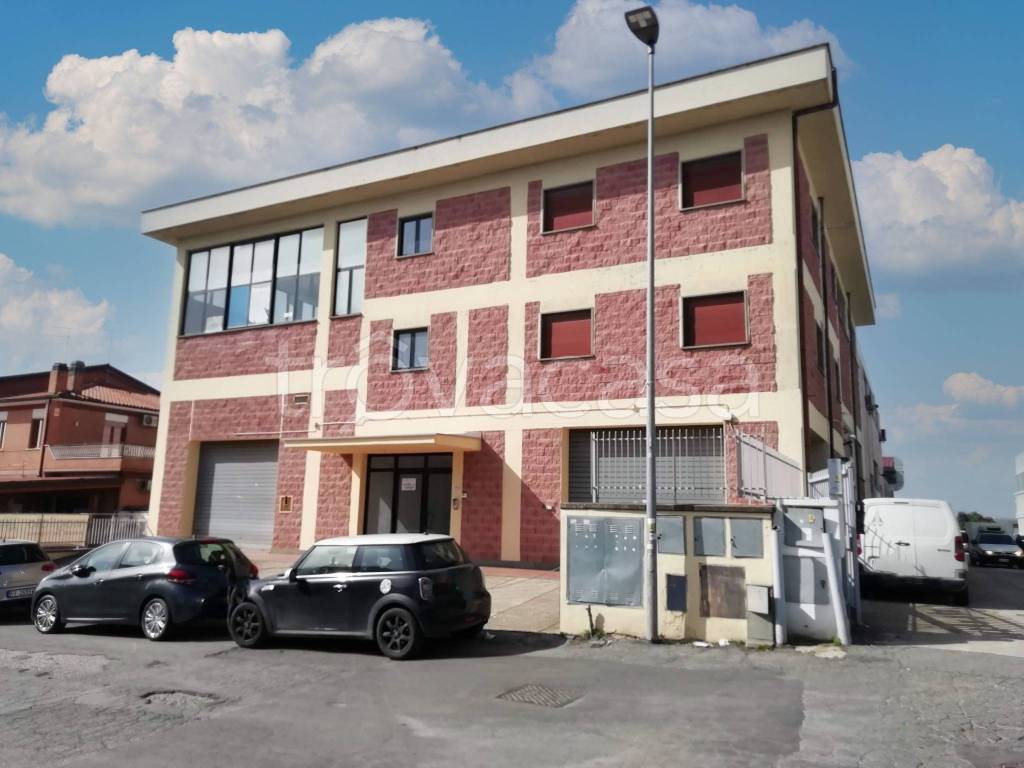 immagine annuncio 2 di 4