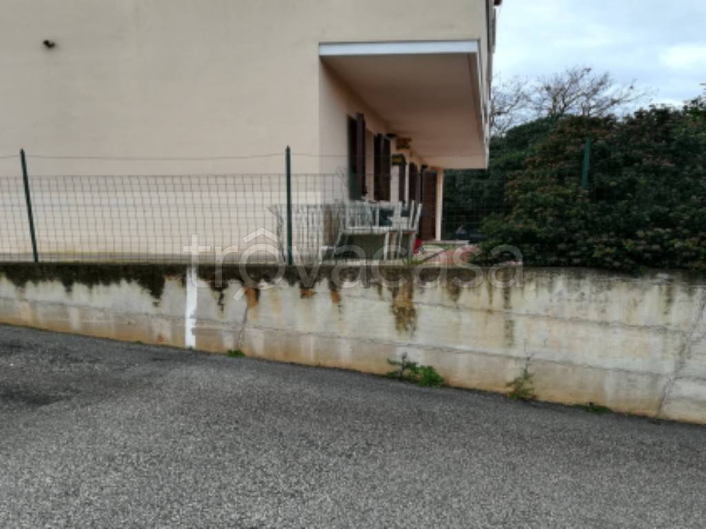 immagine annuncio 1 di 9