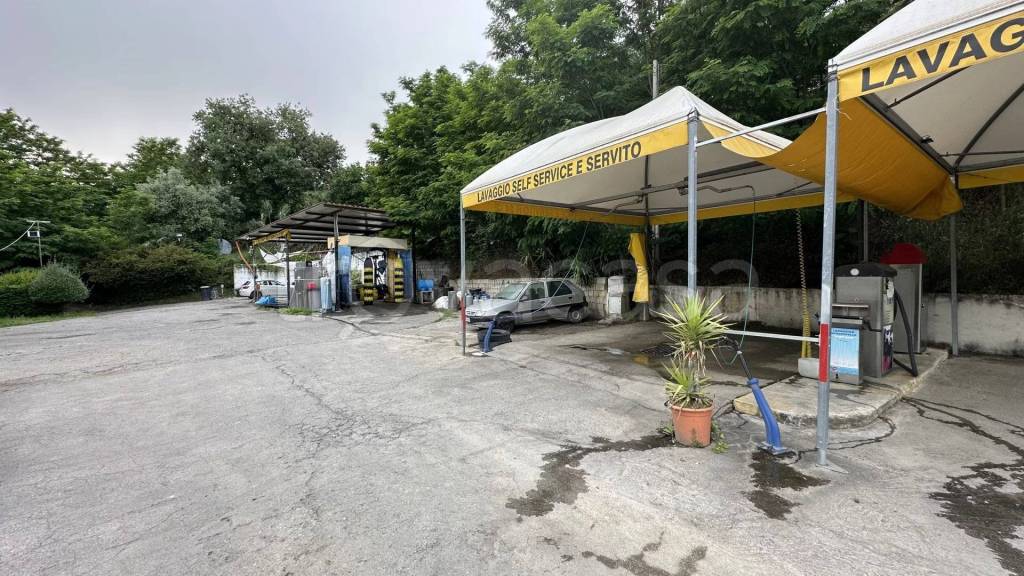 immagine annuncio 5 di 7