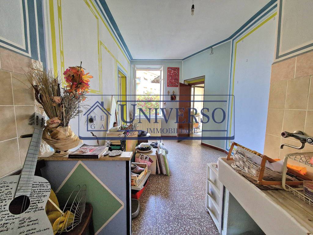 immagine annuncio 5 di 14