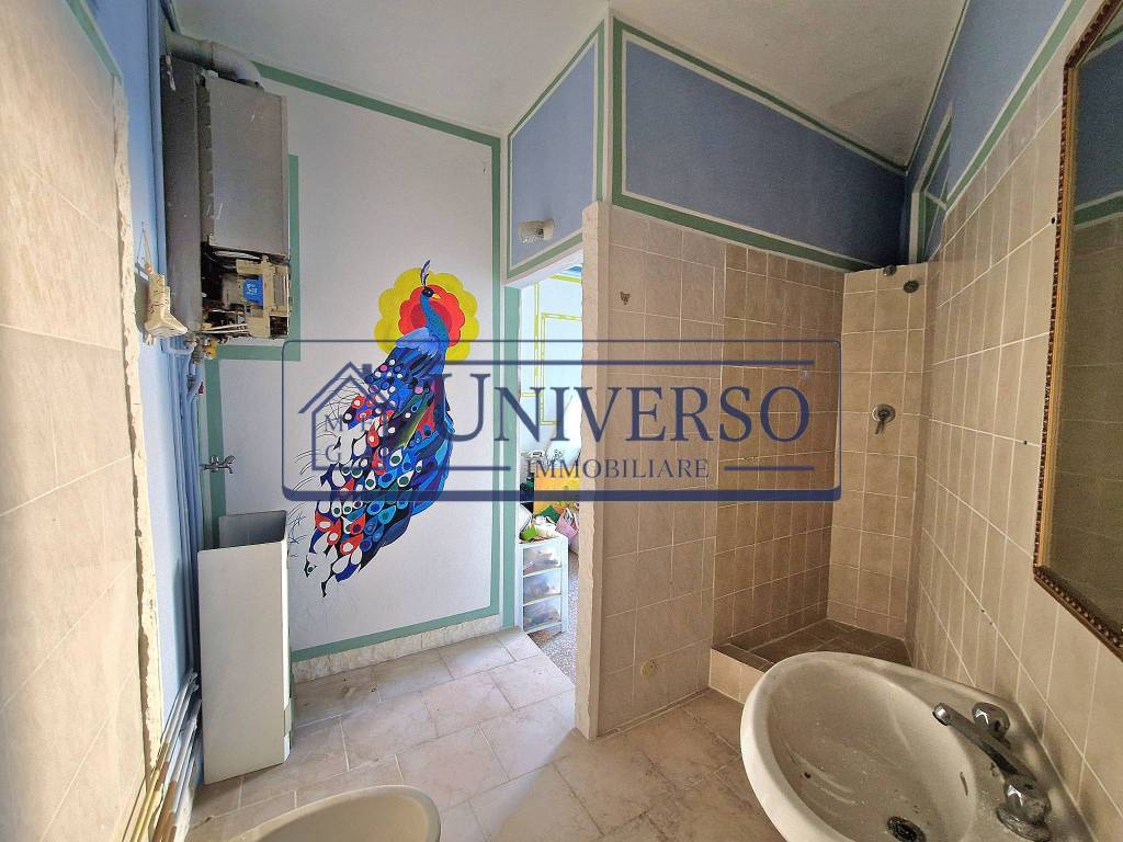 immagine annuncio 7 di 14