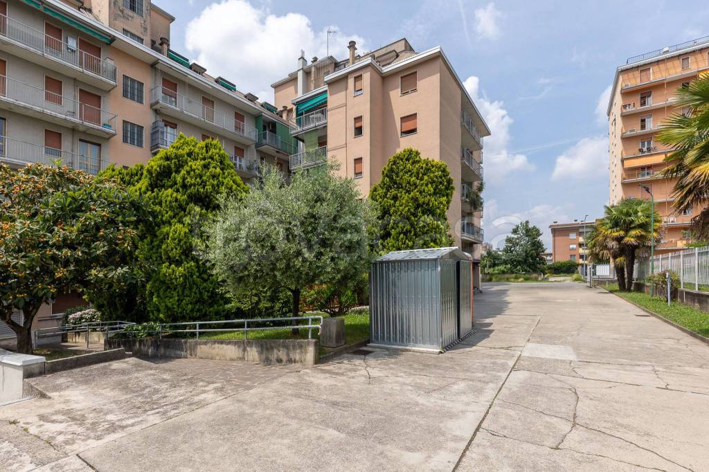 immagine annuncio 9 di 11