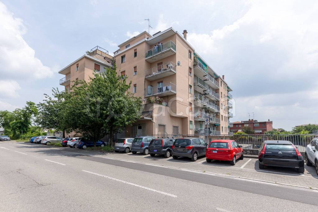 immagine annuncio 10 di 11