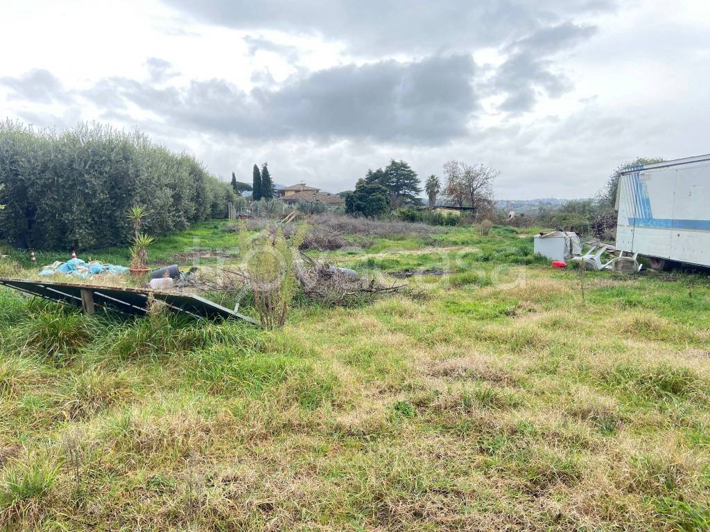 immagine annuncio 2 di 9