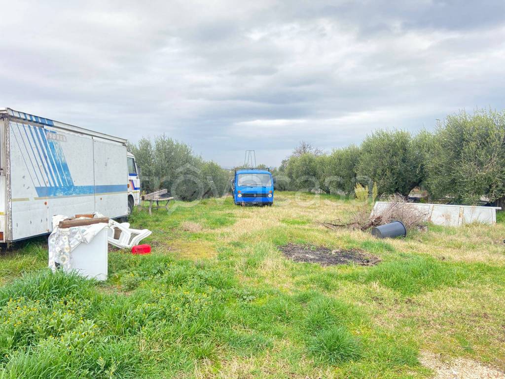 immagine annuncio 4 di 9