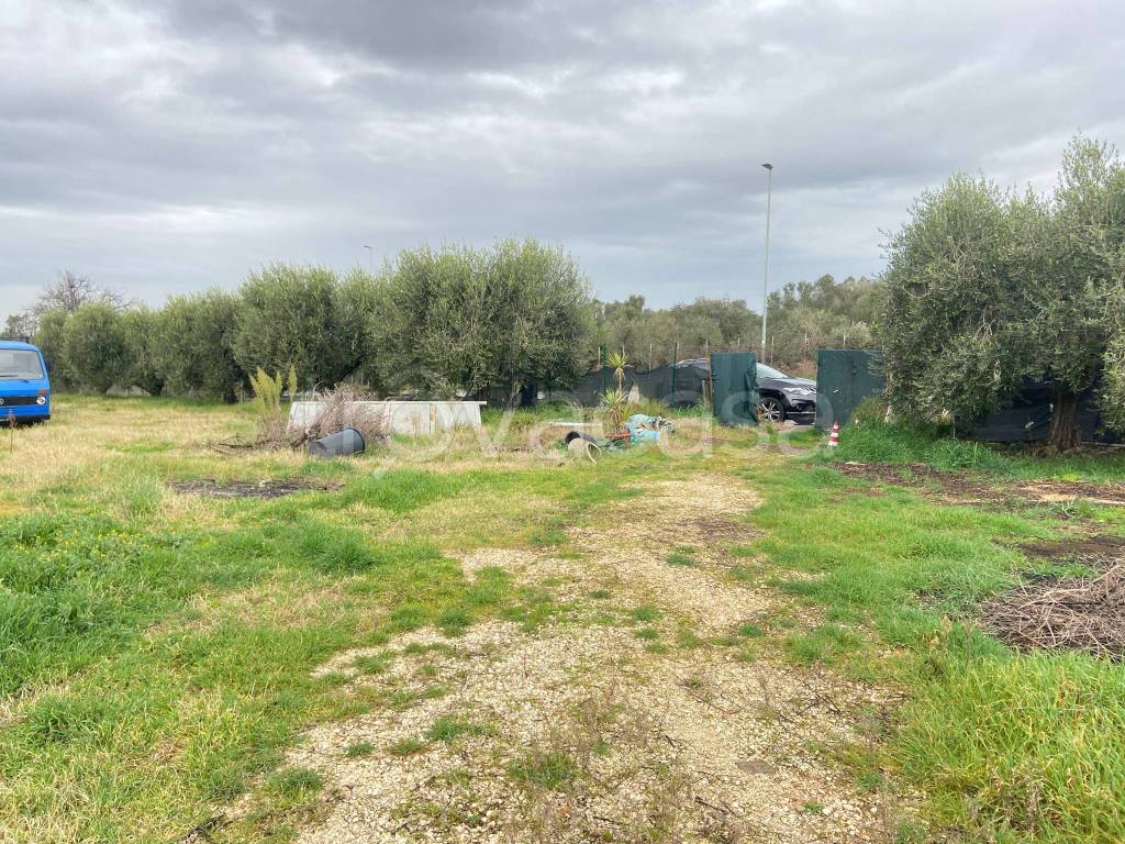 immagine annuncio 5 di 9