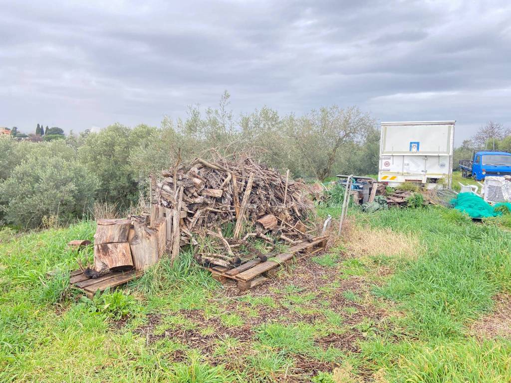 immagine annuncio 6 di 9