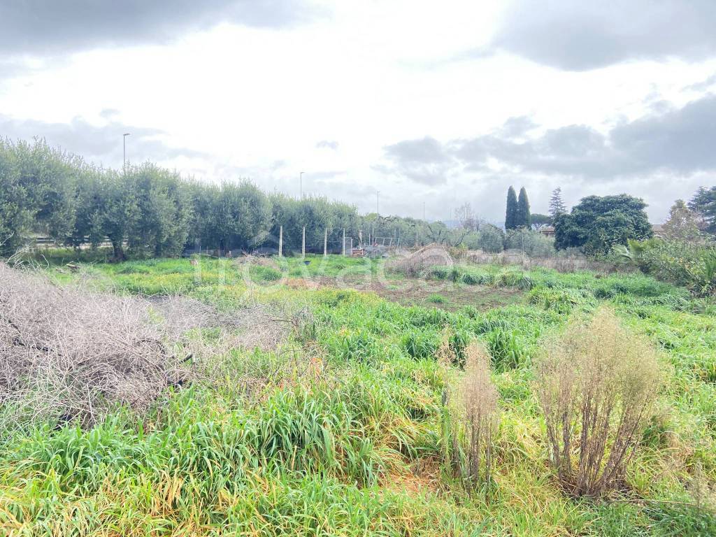 immagine annuncio 8 di 9