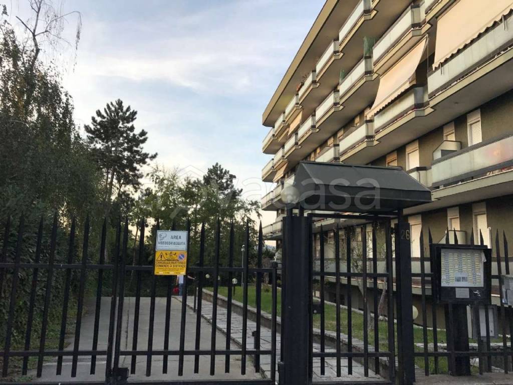 immagine annuncio 4 di 15