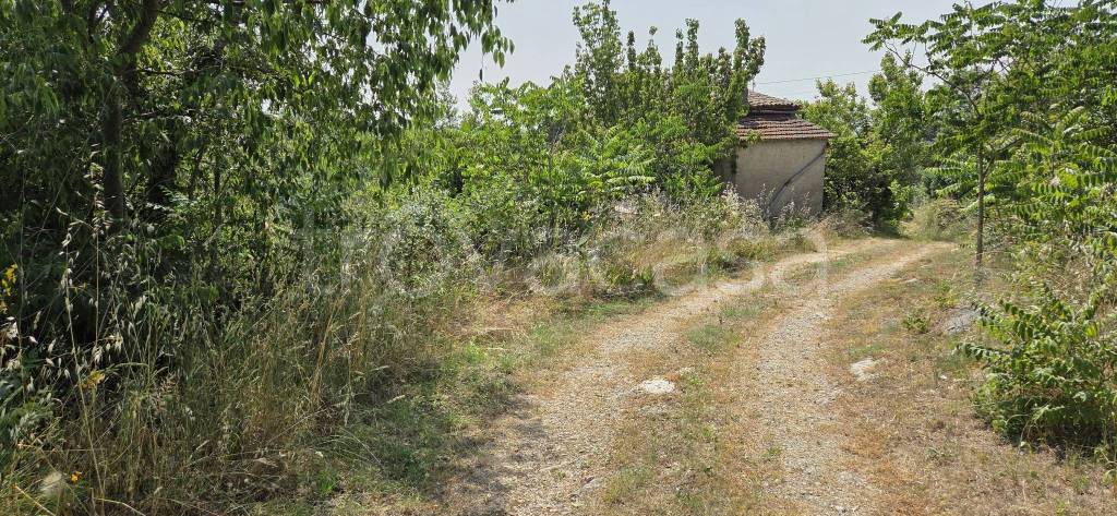 immagine annuncio 6 di 12
