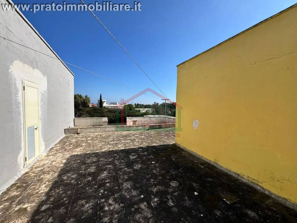 immagine annuncio 12 di 13