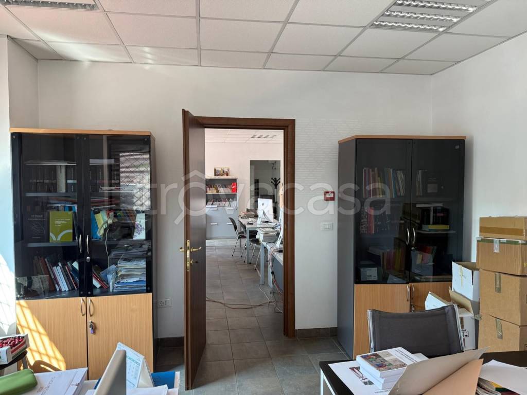immagine annuncio 6 di 11