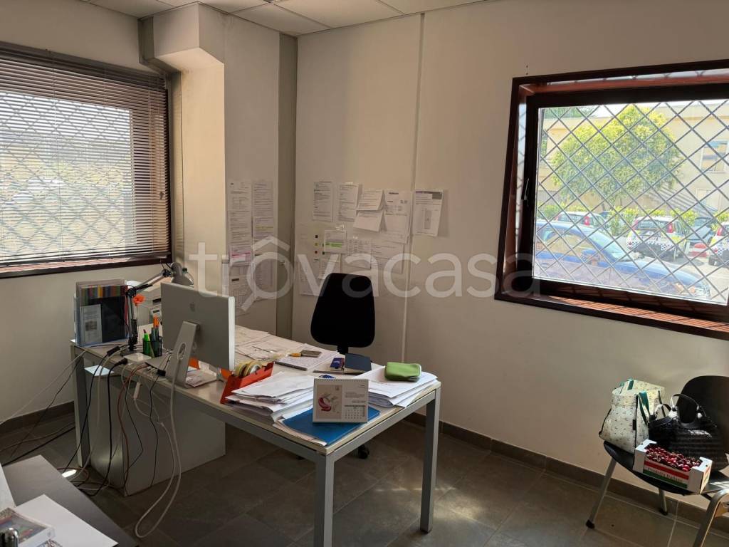 immagine annuncio 7 di 11