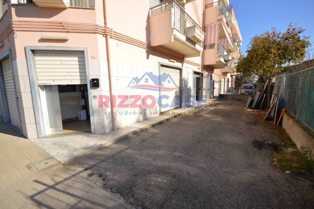 immagine annuncio 11 di 14
