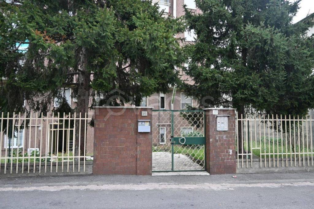 immagine annuncio 3 di 15