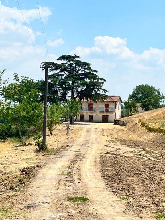 immagine annuncio 3 di 11