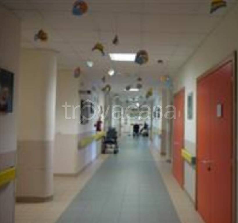 immagine annuncio 3 di 11