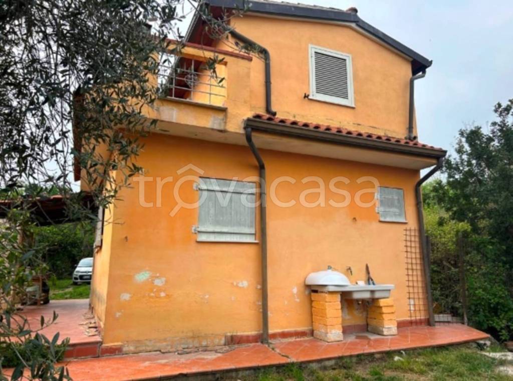 immagine annuncio 2 di 13