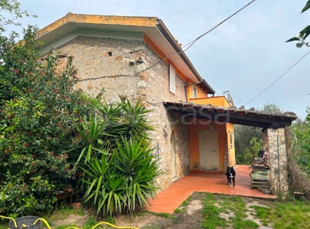 immagine annuncio 11 di 13
