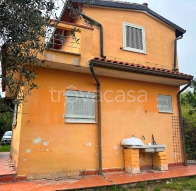 immagine annuncio 12 di 13