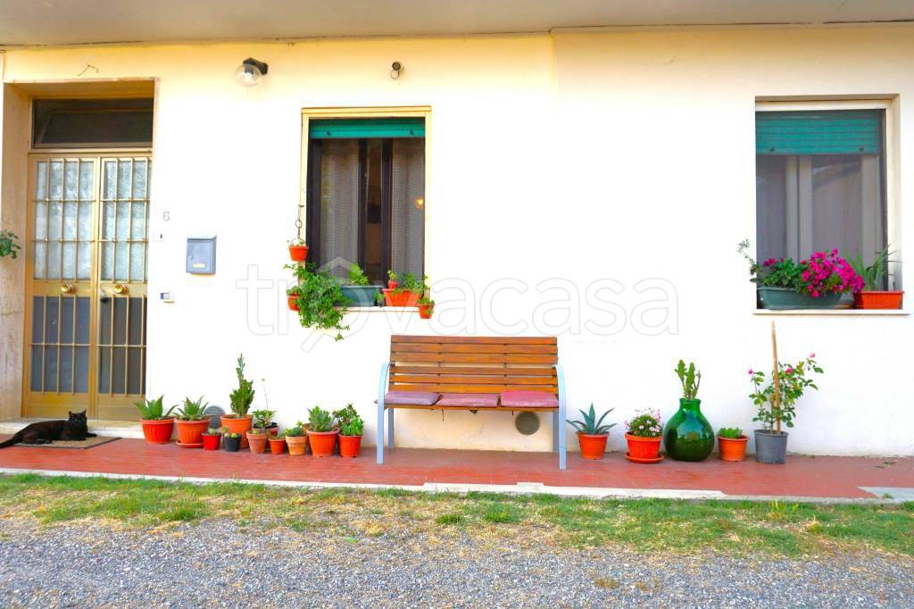 immagine annuncio 5 di 14