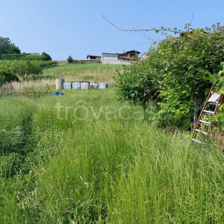 immagine annuncio 1 di 2