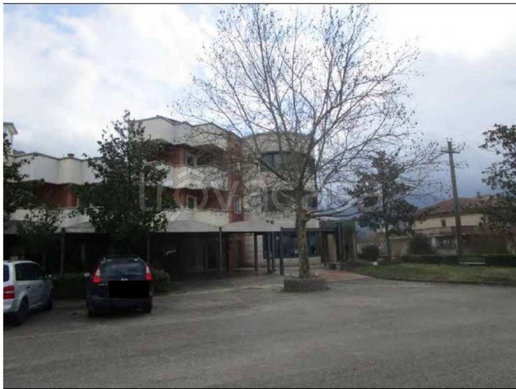 immagine annuncio 7 di 12