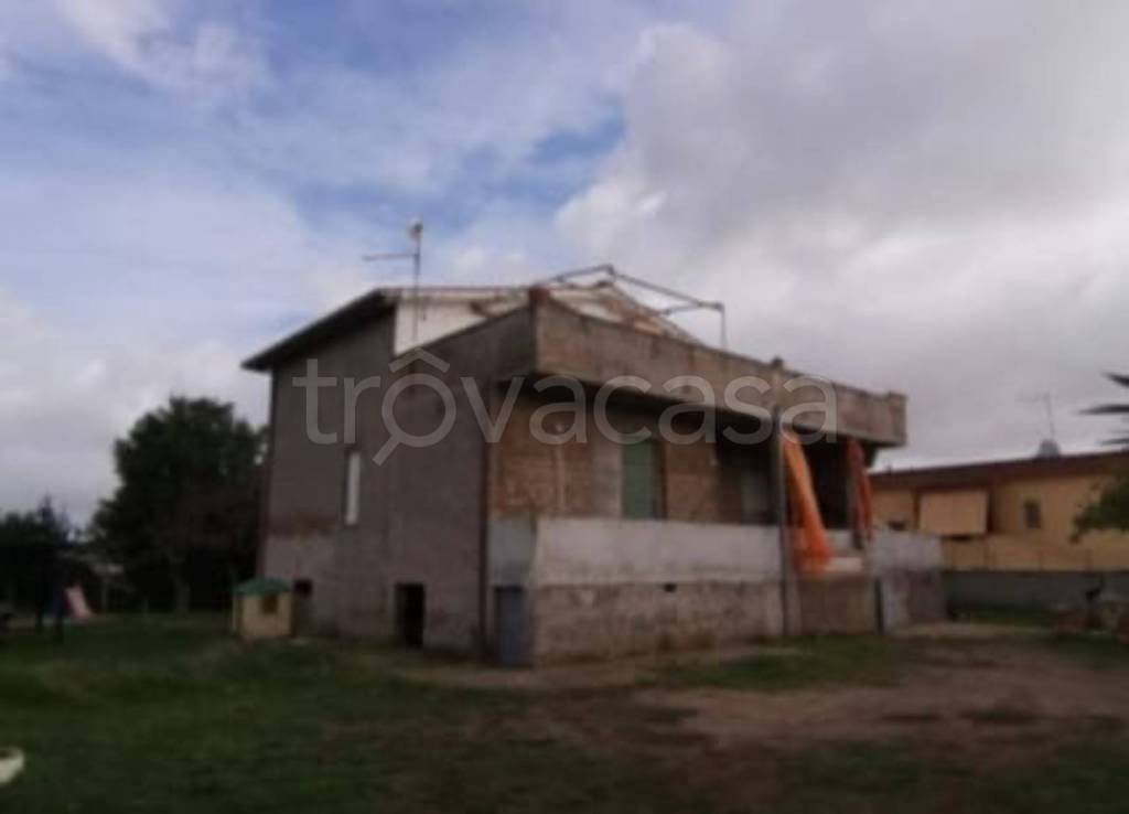 immagine annuncio 9 di 14