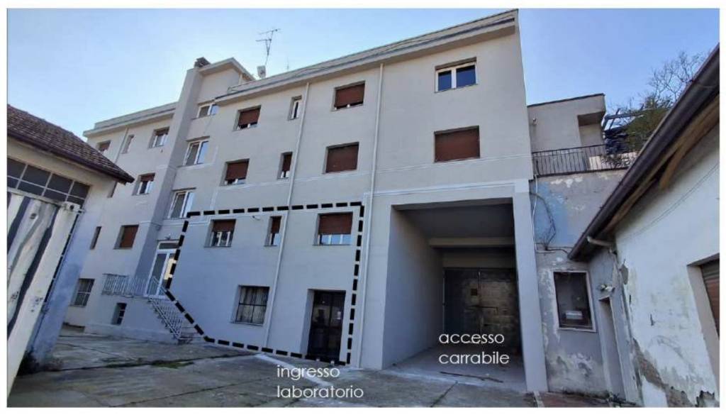 immagine annuncio 1 di 14