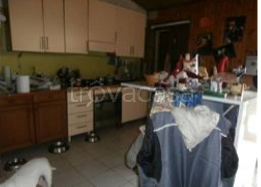 immagine annuncio 3 di 11